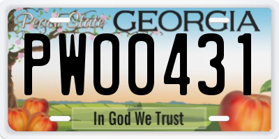 GA license plate PWO0431