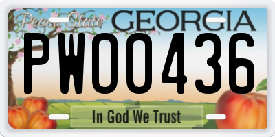 GA license plate PWO0436