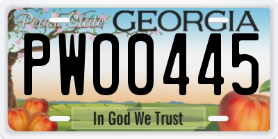GA license plate PWO0445