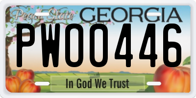 GA license plate PWO0446