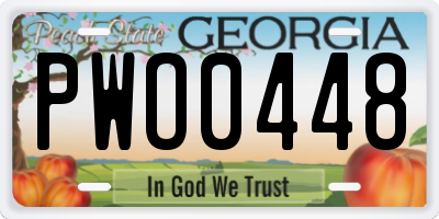 GA license plate PWO0448