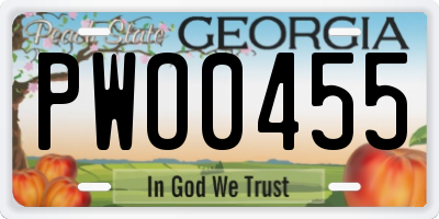 GA license plate PWO0455