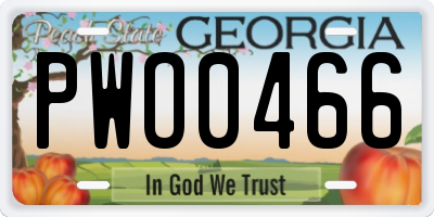 GA license plate PWO0466