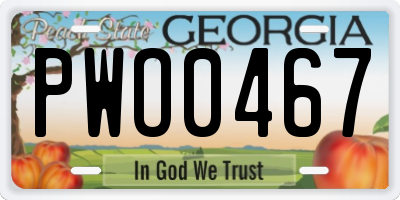 GA license plate PWO0467