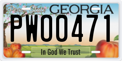GA license plate PWO0471