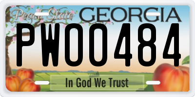 GA license plate PWO0484