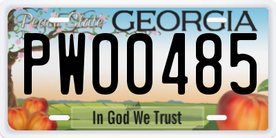 GA license plate PWO0485