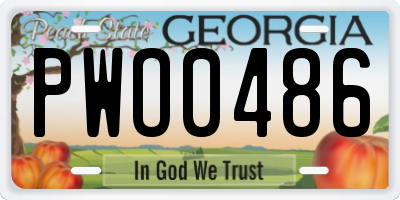 GA license plate PWO0486