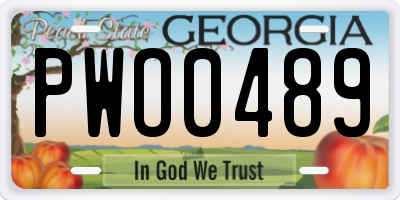 GA license plate PWO0489