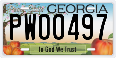 GA license plate PWO0497