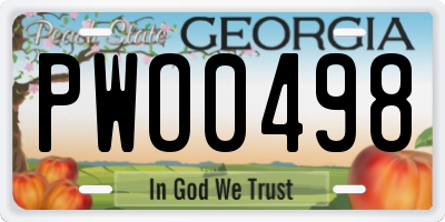 GA license plate PWO0498