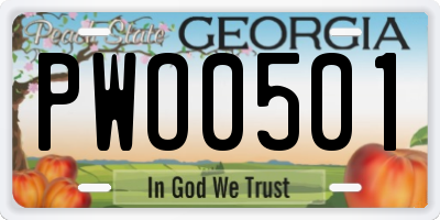 GA license plate PWO0501