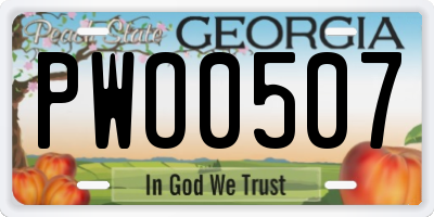 GA license plate PWO0507