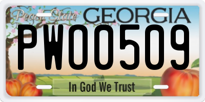 GA license plate PWO0509