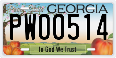 GA license plate PWO0514
