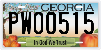 GA license plate PWO0515