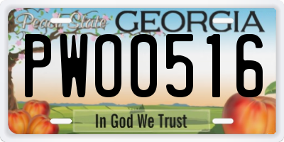 GA license plate PWO0516