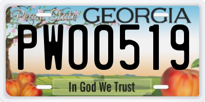 GA license plate PWO0519