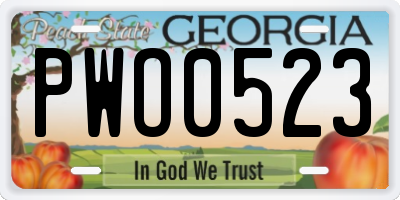 GA license plate PWO0523
