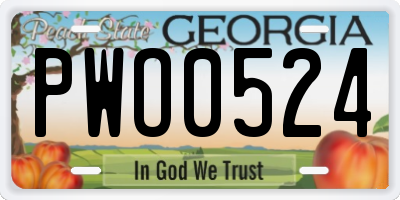GA license plate PWO0524