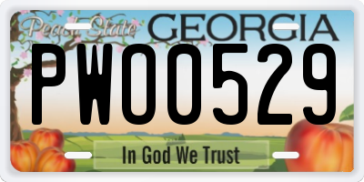 GA license plate PWO0529