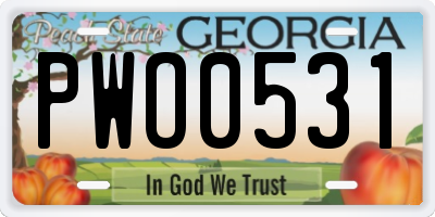 GA license plate PWO0531