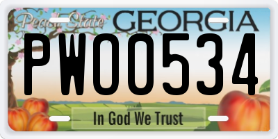 GA license plate PWO0534
