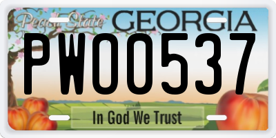 GA license plate PWO0537