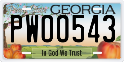 GA license plate PWO0543