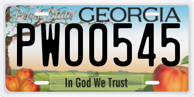 GA license plate PWO0545