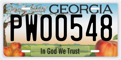 GA license plate PWO0548