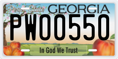 GA license plate PWO0550