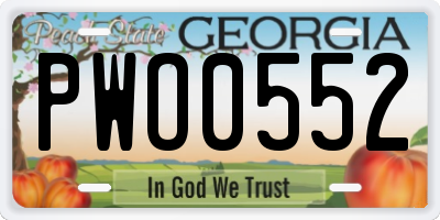 GA license plate PWO0552