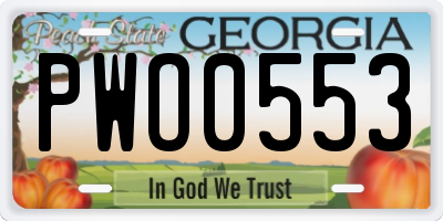 GA license plate PWO0553