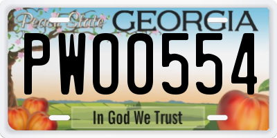 GA license plate PWO0554