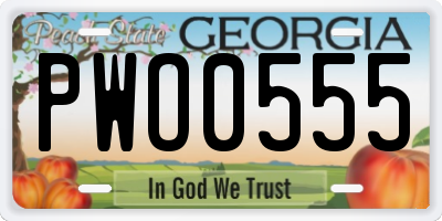 GA license plate PWO0555