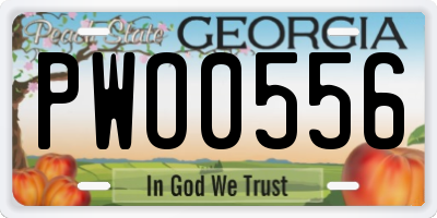 GA license plate PWO0556