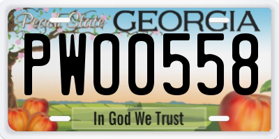 GA license plate PWO0558