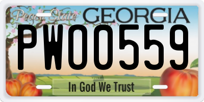 GA license plate PWO0559