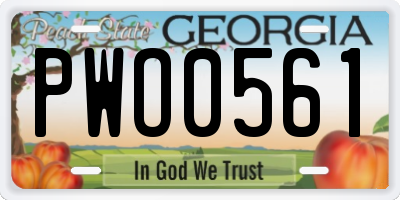 GA license plate PWO0561