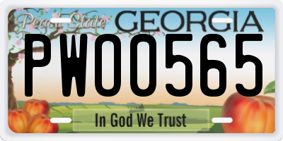 GA license plate PWO0565