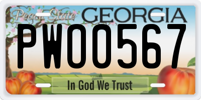 GA license plate PWO0567