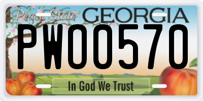 GA license plate PWO0570