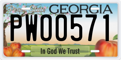 GA license plate PWO0571
