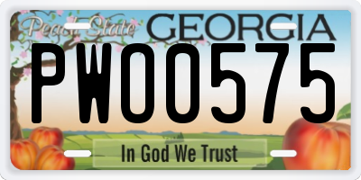 GA license plate PWO0575