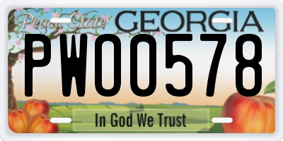 GA license plate PWO0578