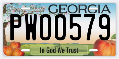 GA license plate PWO0579