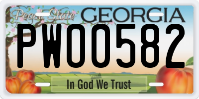 GA license plate PWO0582
