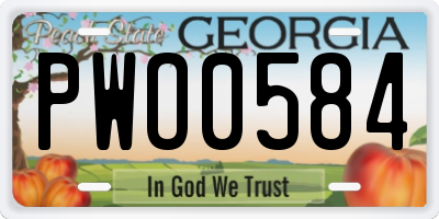GA license plate PWO0584
