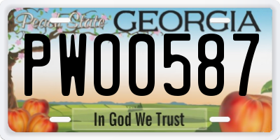 GA license plate PWO0587